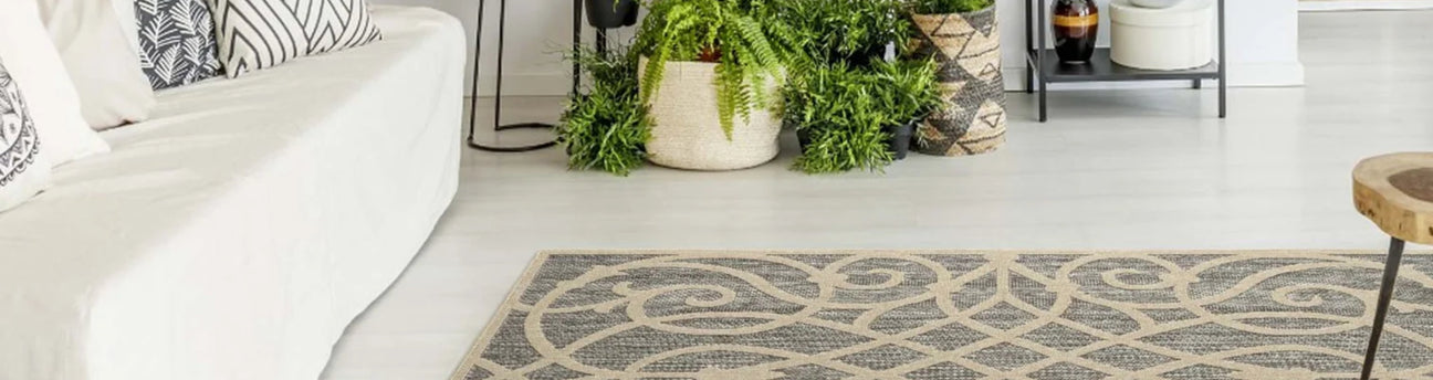 Living Room Rugs