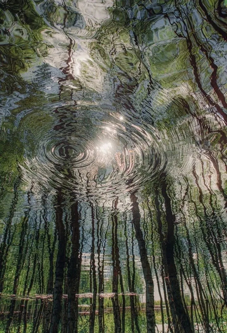 THE STREAM